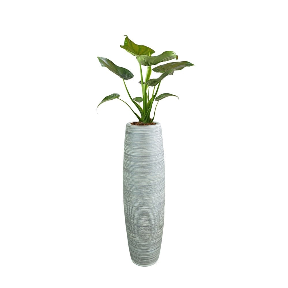 Weisse Vase mit Streifen Muster in einem Anwendungsbeispiel
