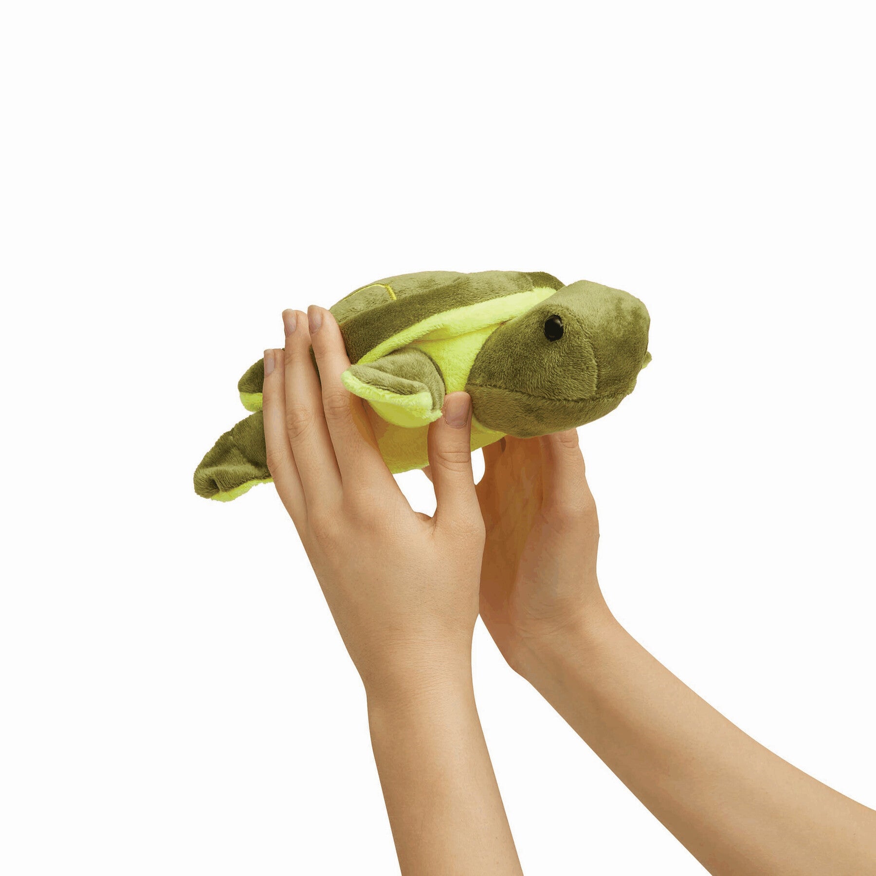 Plüsch-Schildkröte ALBERT