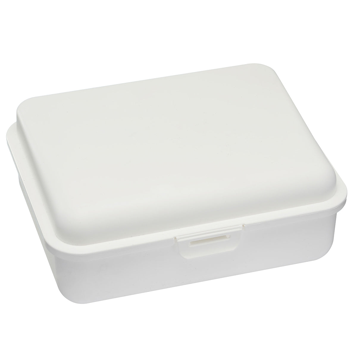 Lunchbox, large