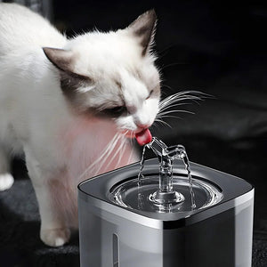 Transparenter, grauer Wasserbrunnen fĂĽr Haustiere in einem Anwendungsbeispiel mit einer Katze