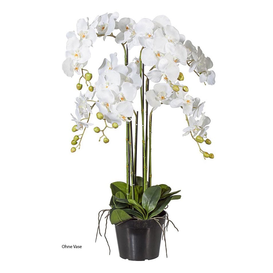 Artificial Orchid – NOVIDARTE AG