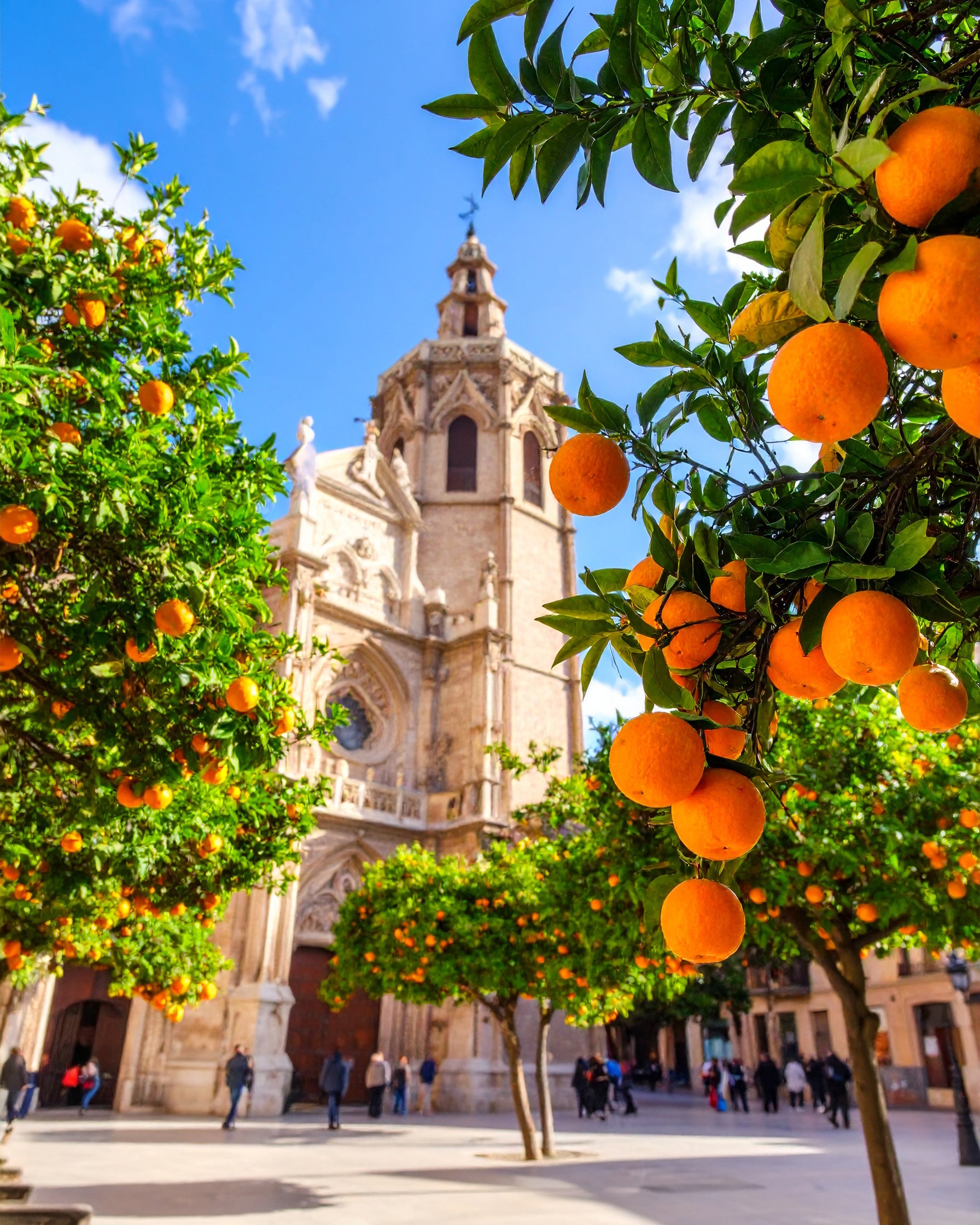 BY VELCHEVA Raumduft Spray - Valencia 50 ml