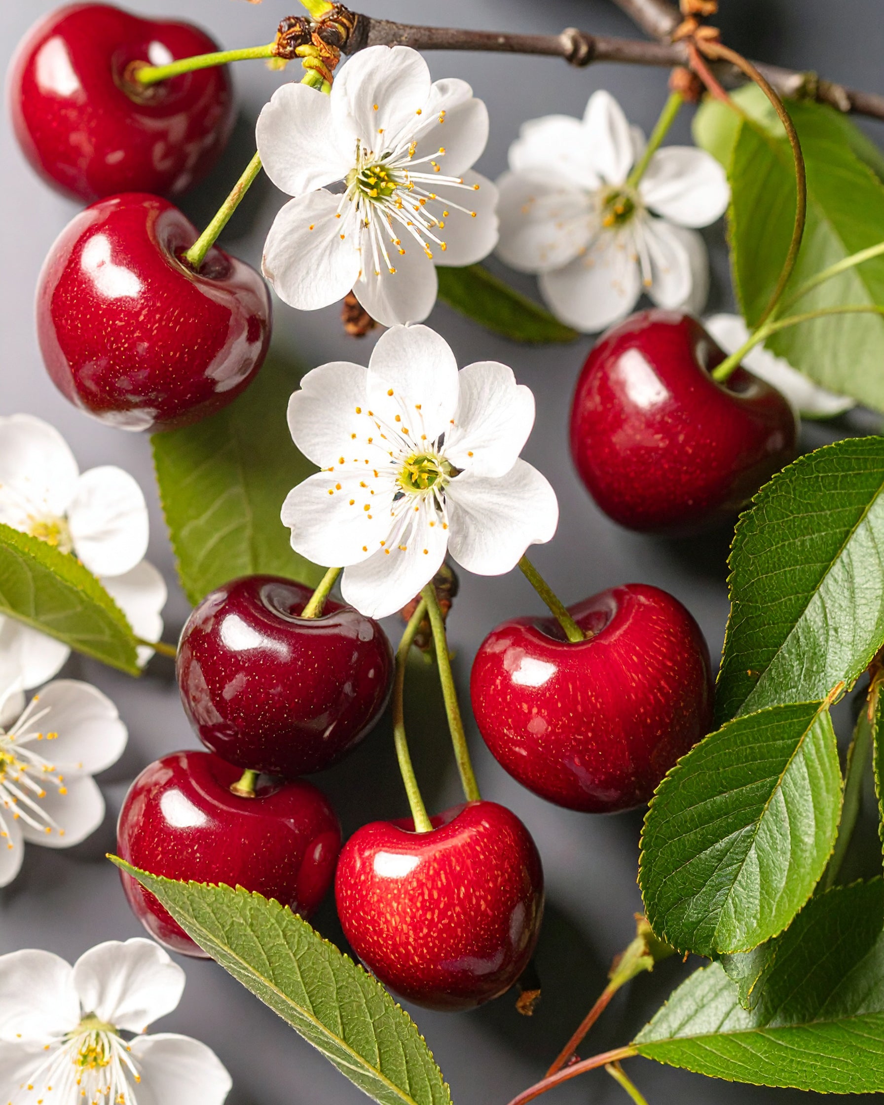 BY VELCHEVA Duftkerze - Cherry Blossom 160 ml