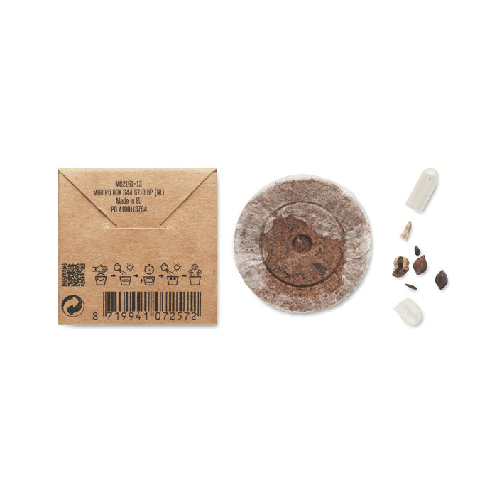 Summer flower seeds