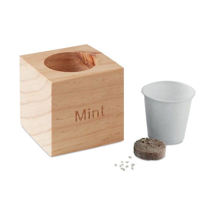Kräuterpflanz-Set "Minze''