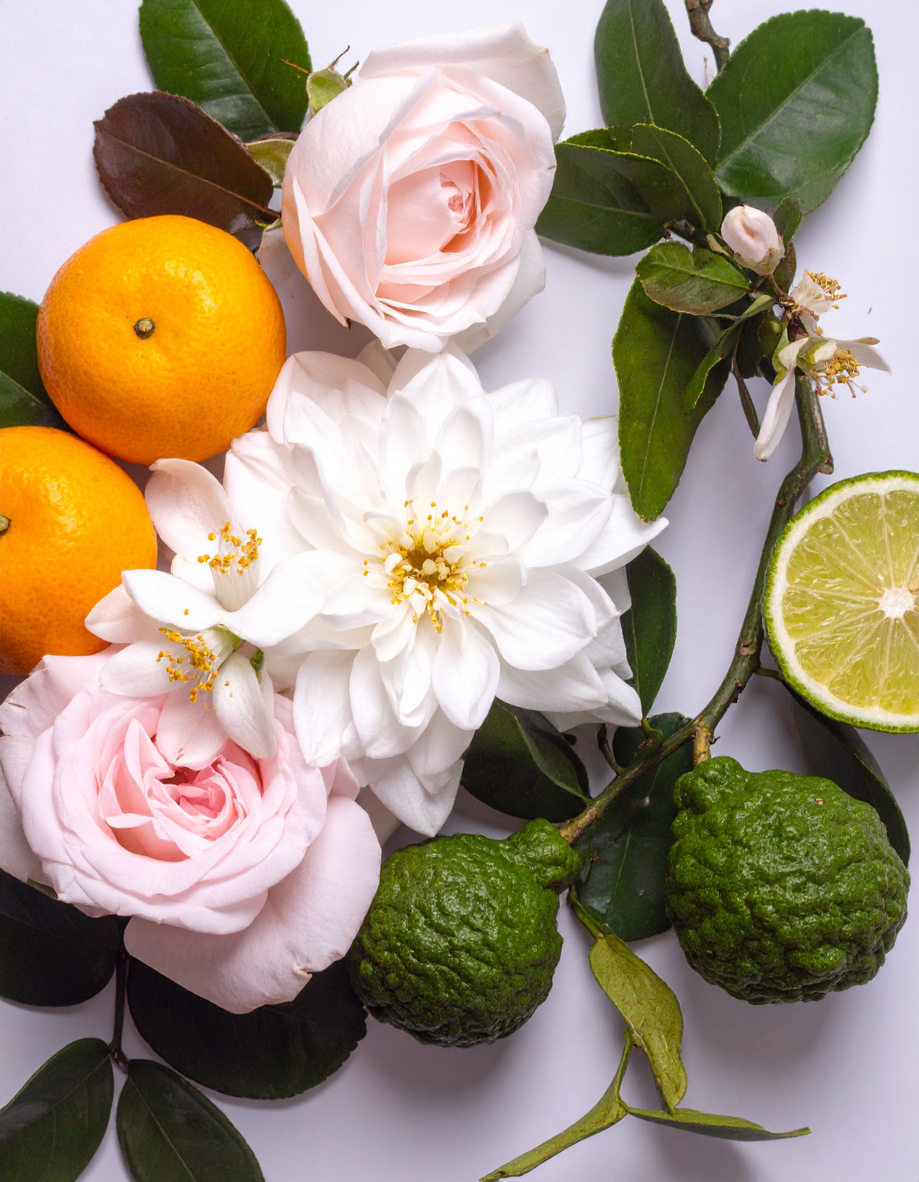 BY VELCHEVA Raumduft Spray - Carolina 50 ml