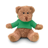 Teddy bear with hoodie